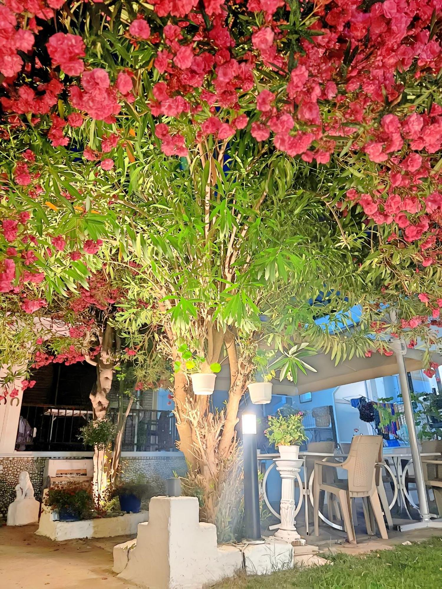 Guest House Julia Ставрос Екстериор снимка