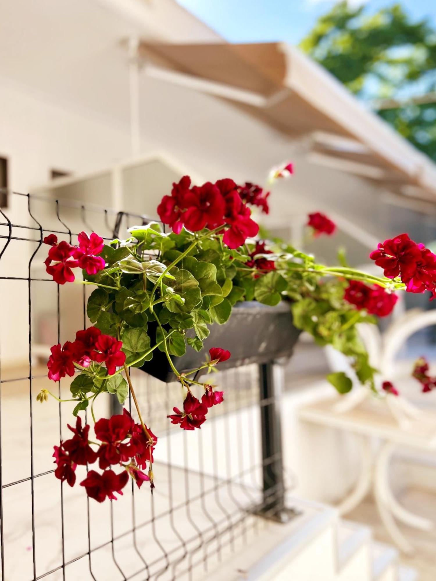 Guest House Julia Ставрос Екстериор снимка